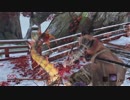 【SEKIRO】最高難度+艱難辛苦+厄憑+ノーダメ+アイテム禁止で全ボス撃破　再討伐編其の２
