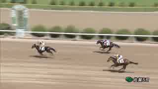 2019年7月15日佐賀競馬5R ＪＲＡ認定 2歳-1組 ミスカゴシマ