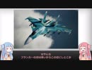 【琴葉姉妹】見た目が9割の戦闘機解説【Flankers】