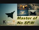 Ace Combat 7 Multiplayer205  バトルロイヤル  Mirage 2000