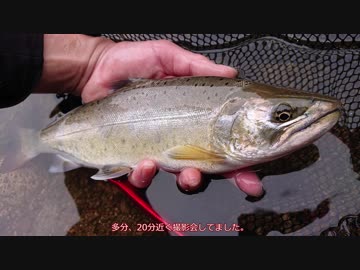 てきとう渓流釣行記①