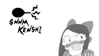 SNNM kenshi 12