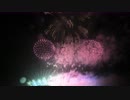 【2019】第34回 さかいふるさと祭り 利根川大花火大会 「光のメロディー」【野村花火工業】