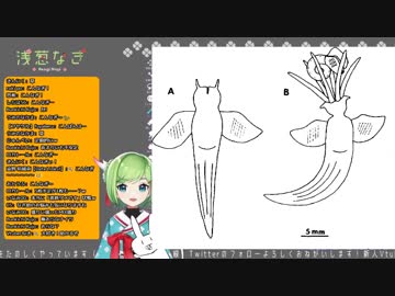 人気の「ばっかるこーん」動画 28本 - ニコニコ動画