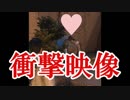 ライフアフター初心者向け実況！砂漠で出会った衝撃スクープ！ライフアフター実況 その２２