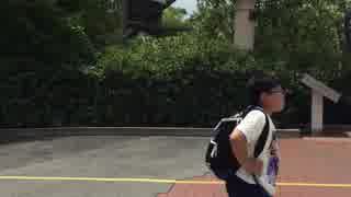 大阪の、ユニバーサルスタジオジャパンの、ジェットコースターの、ザフライングダイナソー。