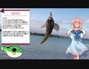 そらさんと釣りの思い出２　砂浜からのちょい投げ釣り～メゴチ・シロギス他～