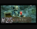 【ゼルダの伝説】あの日諦めたゼルダの伝説トワイライトプリンセス #25 【1人実況】