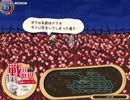 新約・帽子世界をプレイ Part17 ドーラ編⑰