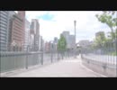 【にゃるぽん】春はレモンドロップに溶け　踊ってみた【オリジナル振付】
