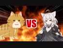 あかりちゃんVS大きい猫