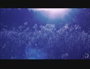 【MIDI】Chouchou (シュシュ) - Innocence【Guitar】