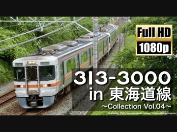 【JR東海】313系3000番台 in 東海道線 ～Collection Vol.04～