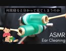 【ASMR】一人残らず眠らせる乾燥カリカリ奥行き耳かき【音フェチ】