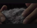 【ASMR・立体音響】極上のリラックスシャンプー音・頭皮マッサージ音・梵天や綿棒でヘアブラッシング:Shampoo&Hair massage【No talking・30minutes】