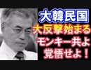 【海外の反応】韓国頑張れ！日本に反撃せよ！【世界の反応】