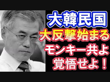 【海外の反応】韓国頑張れ！日本に反撃せよ！【世界の反応】