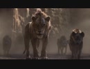 Beyoncé – SPIRIT from Disney’s The Lion King  [Official Music Video]