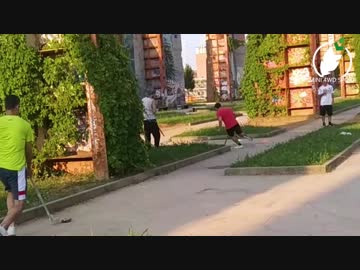 Race from Mini 4WD Sport Cup