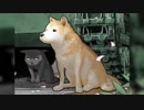 [M⊿D-⊿MV][-夢見ていよう-  戦車道のある風景 ＜Chi-Ni ver＞]