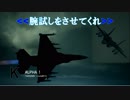 Ace Combat 7 Multiplayer208  バトルロイヤル  F-2A