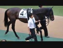 【ウイニングポスト8 2015】女馬主と早世馬の新世界【実況プレイ】354