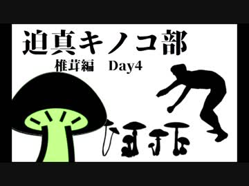 迫真キノコ部・しいたけ栽培の裏技　Day4