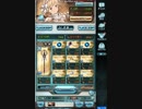 ヴァルナ　確定クリティカル編成お試し
