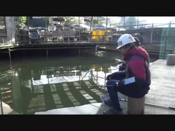 【後援会アーカイブ】釣りマラソン　釣パラダイスの魚を全部狙う！