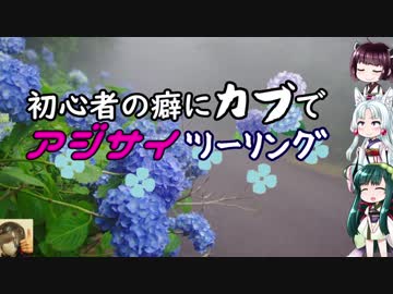 【東北姉妹車載】初心者の癖にカブでアジサイツーリング