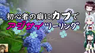 【東北姉妹車載】初心者の癖にカブでアジサイツーリング