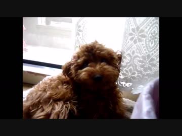 °˖✧◝(⁰▿⁰)◜✧˖°つくし②♥＆❤