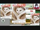 猫休み店開催！！！