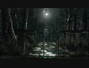 やっぱり初代は怖い　biohazard HD REMASTER　pert20　ジル編