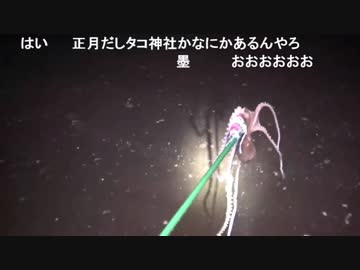 【後援会アーカイブ】狩猟・ハンター大西の手掴みタコ漁
