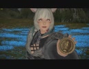 【新生FF14】アウラの冒険日記589ページ
