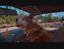 【FarCryNewDawn】ヒャッハーな豚が野性的に侵略実況！