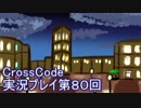 広大な世界を冒険しよう！　CrossCode実況プレイpart80