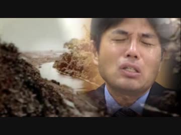 野々村感動 いいとこだけ