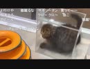 20190718　暗黒放送 名古屋で演説放送　②