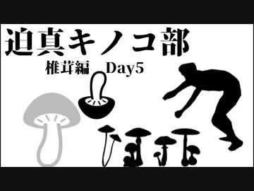 迫真キノコ部・しいたけ栽培の裏技　Day5