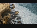 Pexels Videos  金本朝樹