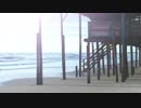 Pexels Videos 1539953　寺井勇人