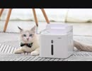NPET ペット用自動給水器 WF020 組み立て説明動画