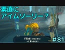 【趣味】拙いですがパンツでマスターになる【ゼルダの伝説ブレスオブザワイルド】pants81
