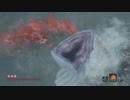 【SEKIRO】 隻狼ォン！アォン！.Part32
