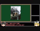 ゆっくりまりさがドラクエ1の疑問を(雑に)答える動画EX