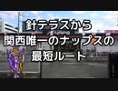 おバイク！針テラスから関西唯一のナップスへ行く最短ルート【GLADIUS】