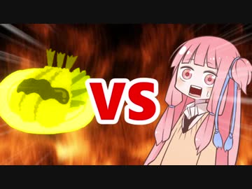 茜ちゃんVSゴールデンエビフライ