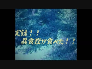 異食症の食べたらヤバイ商品レビュー ⑤